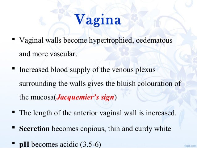 Change in pregnancy vagina Fat women orgasm videos